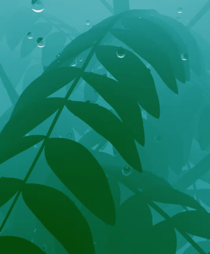 Monsoon Rain Falling In Forest GIF
