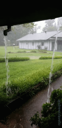 Monsoon Season Rainy Day Heavy Downpour GIF