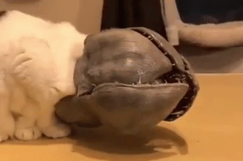 Monster Demogorgon Head Cat GIF