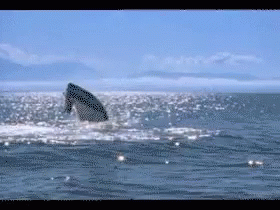 Monster Mosasaurus Throw GIF