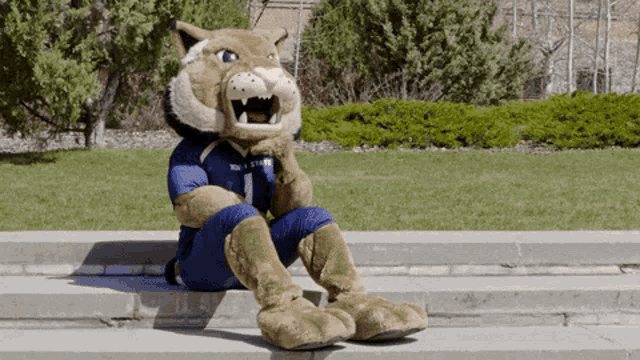 Montana State Bobcat Mascot Thinking GIF