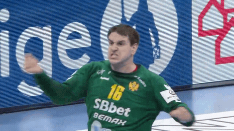 Montenegro Handball Celebrates GIF