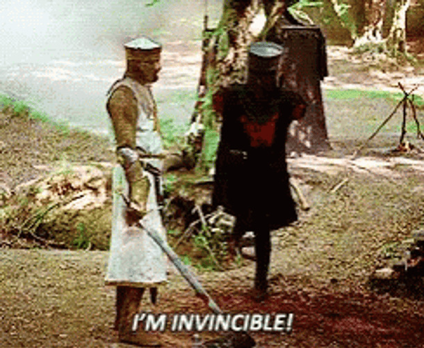 Monty Python Black Knight Invincible GIF