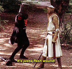 Monty Python Black Knight Kicking Robin GIF