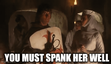 Monty Python Monty Python And The Holy Grail GIF