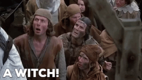 Monty Python Run Away A Witch GIF