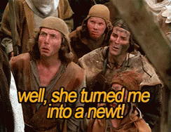 Monty Python Run Away Turned Into Newt GIF