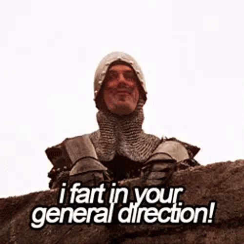 Monty Python Tower Guard Mocking The Enemy GIF