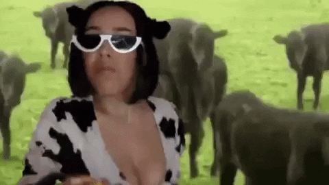 Moo Body Suit Vibing On GIF