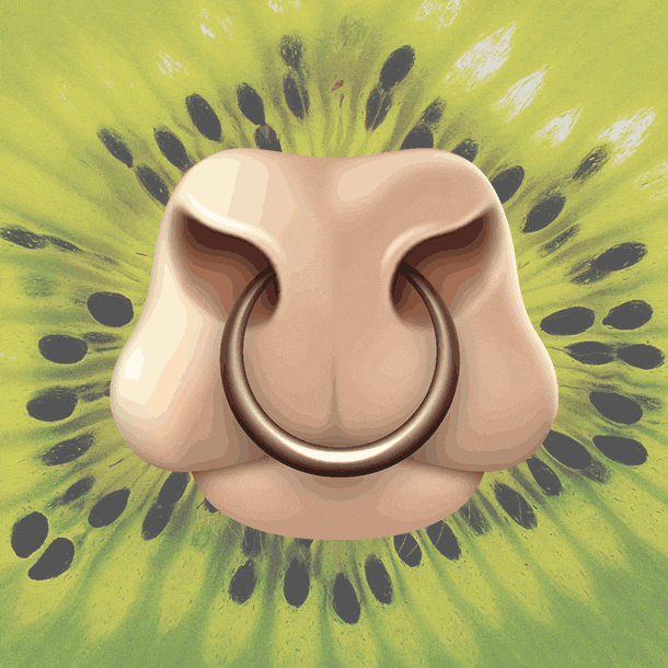 Moo Cartoon Moving Nose GIF