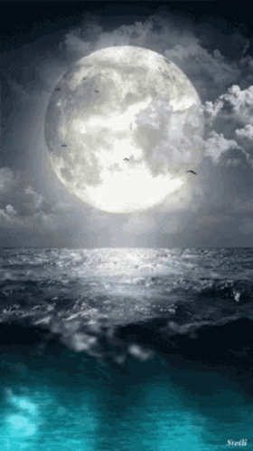 Moon Light Over Blue Ocean GIF