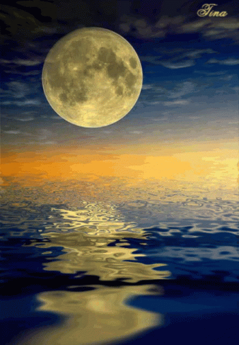 Moon Shine Ocean GIF