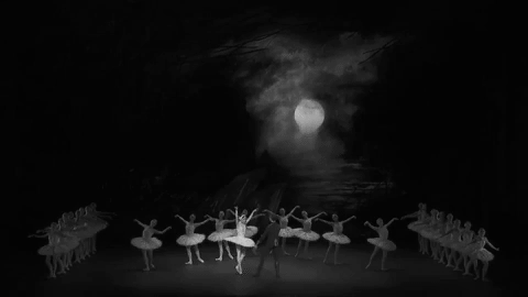 Moonlight Theatre Ballet Dancing GIF