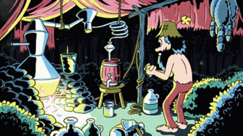 Moonshine Okay Lets Have Fun GIF