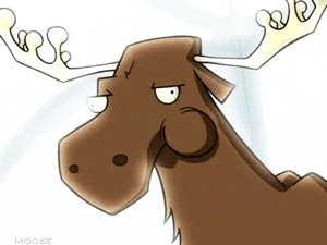 Adorable Moose Munching GIF