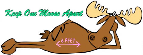 Keep One Moose Apart Animation GIF