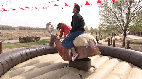 Moose 480 X 270 Gif GIF