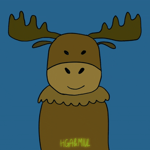 Moose 480 X 480 Gif GIF