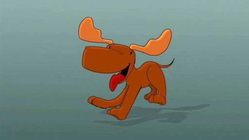 Playful Moose Running GIF