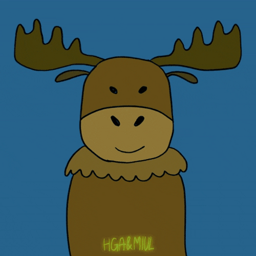 Moose GIF
