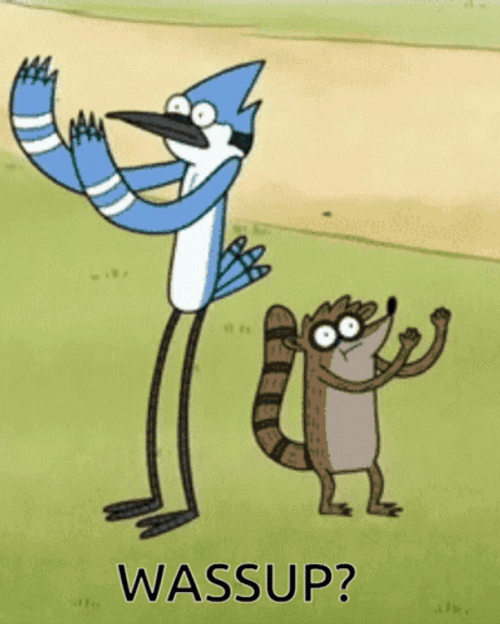 Mordecai And Rigby Regular Show GIF