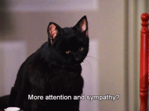 More Attention And Sympathy Salem GIF