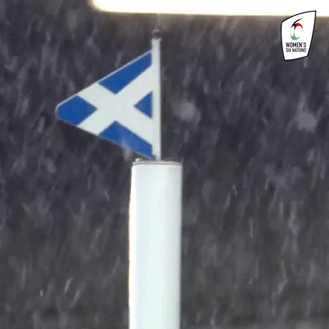 More Snow Scottish Flag Womens Rugby GIF