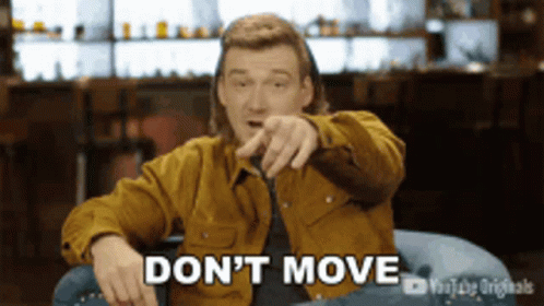 Morgan Wallen Don't Move GIF