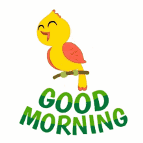 Morning Bird Singing GIF