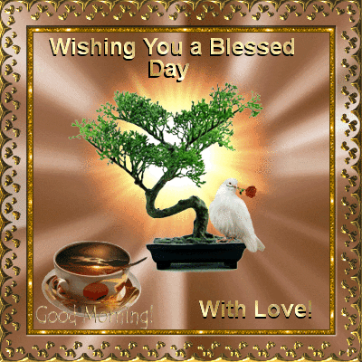 Morning Blessings Dove & Bonsai Tree GIF