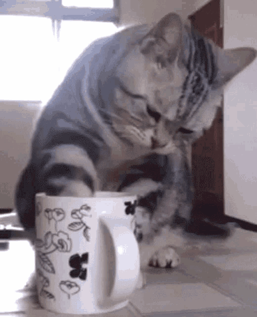 Morning Coffee Cat Cup Paws Licking Dipping GIF