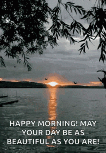 Morning Greeting Card Sunset Lake GIF