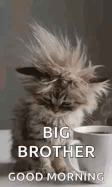 Morning Morning Coffee Gif GIF