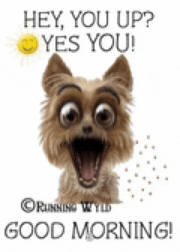 Morning Quotes Morning Quotes For Love Meme GIF