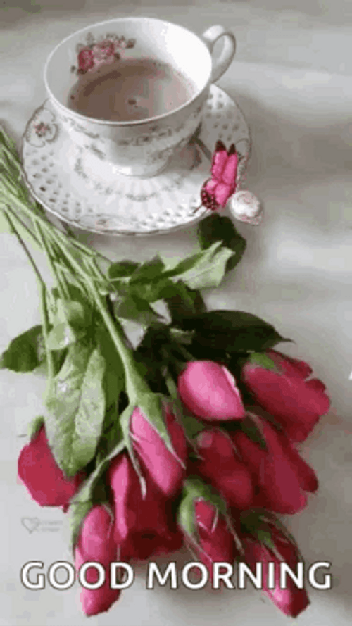 Morning Rose And Coffee GIF