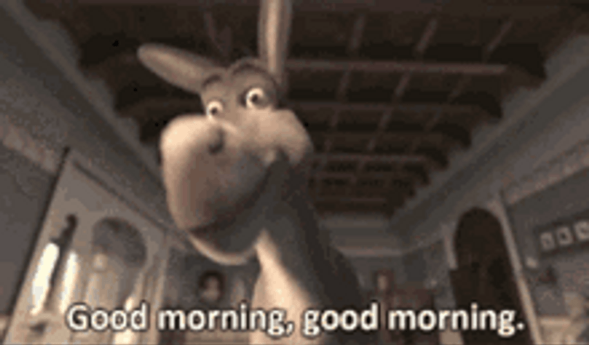 Morning Shrek Donkey GIF