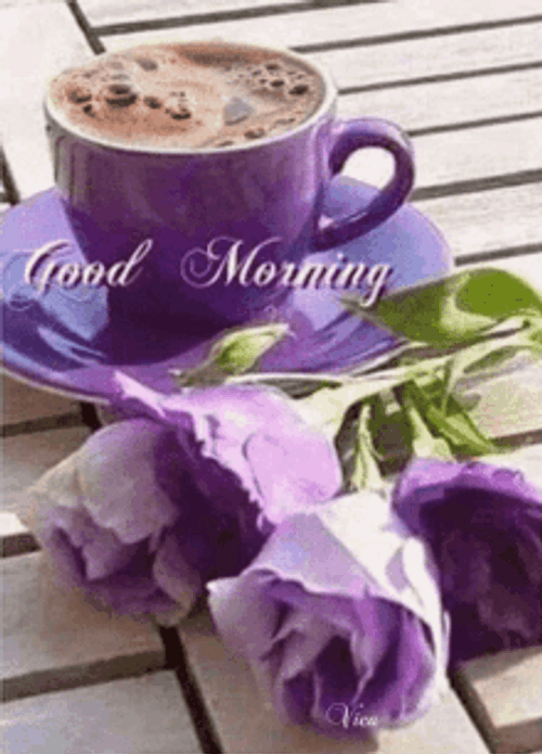 Morning Violet Rose GIF