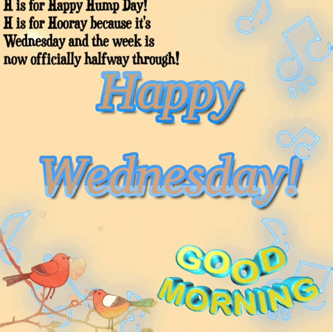 Morning Wednesday Lovebirds In Branches GIF