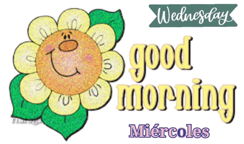 Morning Wednesday Smiling Flower GIF