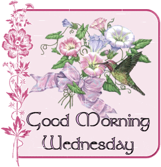 Morning Wednesday Sparkling Pretty Flowers GIF