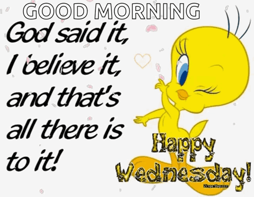 Morning Wednesday Tweety Bird Winking GIF