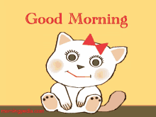 Morning White Cat Kiss GIF