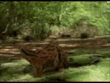 Morph Jaguar To Lady GIF