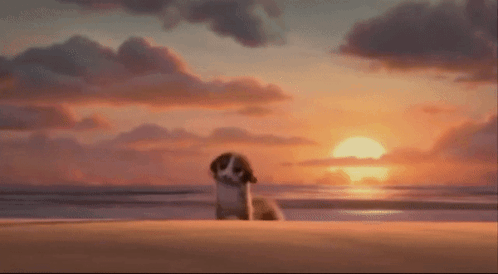 Mort Shark Attack GIF