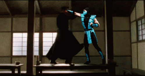 Mortal Kombat Sub Zero 3d Fighting GIF