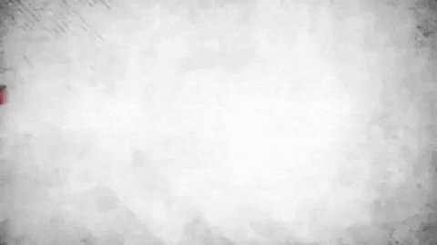 Moscow Mitch Mcconnell Turtle Poster GIF