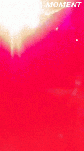 Awesome Disco Lights Marauda Mosh Pit GIF