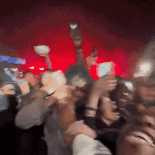 People Having Fun Mosh Pit Party GIF