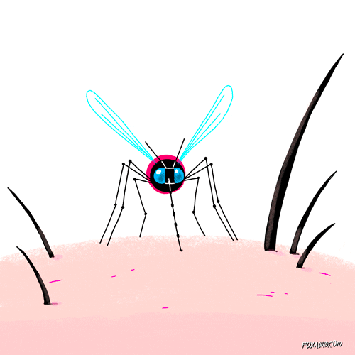 Mosquito Blood Explode GIF