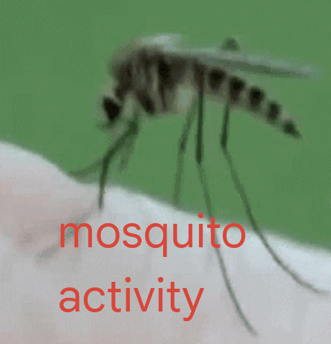Mosquito Crawling on Arm Saying Mosquito Activity